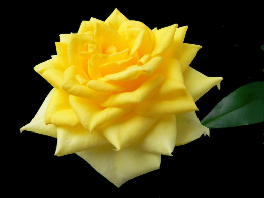 433997 (a): :2400x1800
